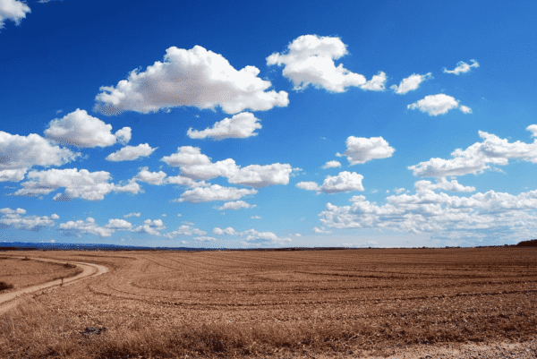 Foothills Land Subdivision – High-ROI Co-Investment Opportunity in Alberta, Canada