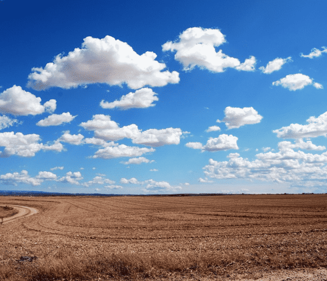 Foothills Land Subdivision – High-ROI Co-Investment Opportunity in Alberta, Canada