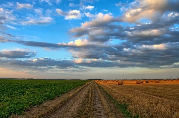 Foothills Land Subdivision – High-ROI Co-Investment Opportunity in Alberta, Canada
